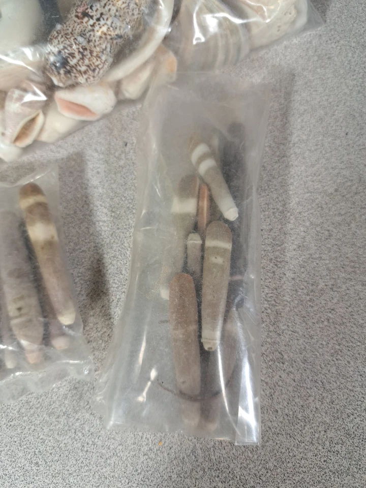 Jewelry Making or Crafting Sea Urchin & Cowry Shells & More Most New #4961L489 - Image 2 of 4