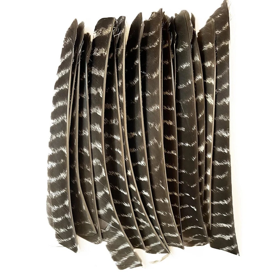 Full Length Archery Natural Turkey Feather Fletching Right Left Wings DIY Arrows - Image 2 of 4