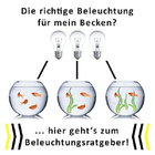Bild 5 von 12