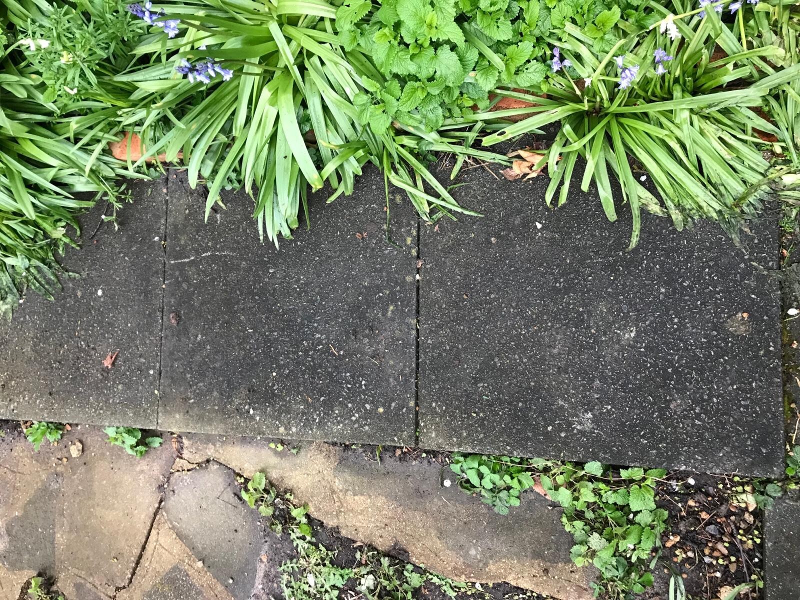 Concrete council Paving Slabs 600 x 600 x 50 [8 available] eBay