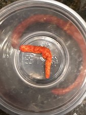 Rare Chester s Hot Fry Cheetos Unique Foods