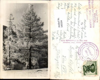 545324,seltene Foto-AK St. Corona am Schöpfl bei Laaben im Wienerwald Altenmarkt