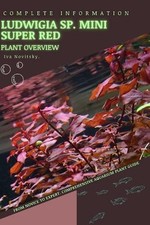 Ludwigia sp. Mini Super Red: From Novice to Expert. Comprehensive Aquarium Plant