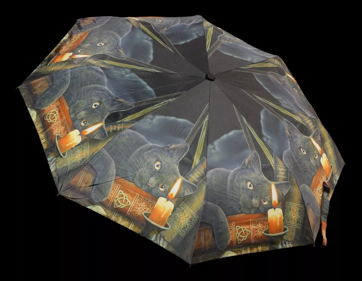 Parapluie  Sorcière et Magie