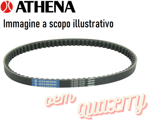 Cinghia Trasmissione Variatore Polini Per Semipuleggia Mobile D. 134