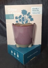 Modern Sprout Daisy Glow and Grow Ceramic Wildflower Scented Candle Grow Kit (B5