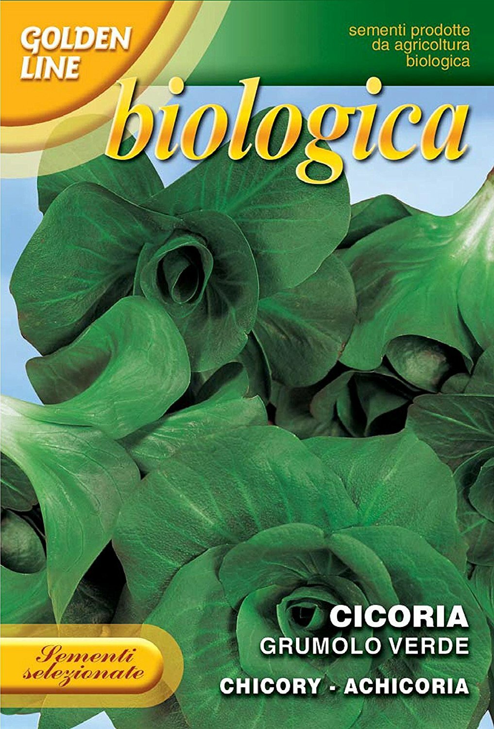 Franchi Seeds Organic Chicory Grumolo Verde Seeds