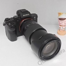 Sony Alpha a7 II Mirrorless Camera with 18-200mm f/3.5-5.6 OSS Lens Tested