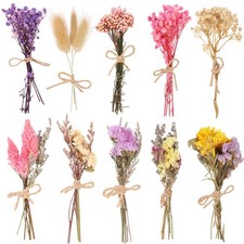 10 Pack Mini Dried Flower Bouquets with Stem, Natural Embossed Floral Bundles