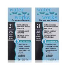 Water Works Permanent Powder Hair Color 21 Blue Black 2 Pack 