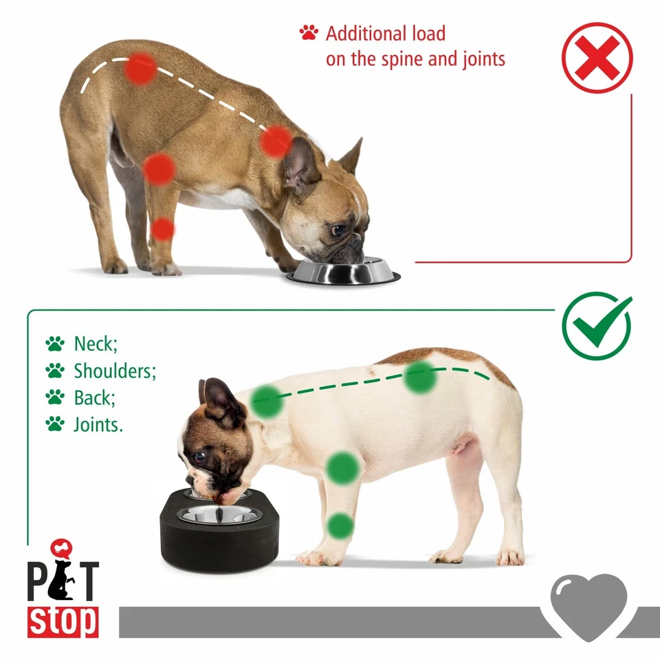 Tigelas de madeira levantadas de aço inoxidável pratos duplos para filhotes de cachorro suprimentos para alimentação - Imagem 4 de 4