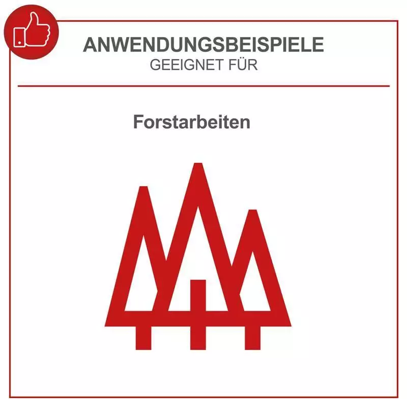 Bild 3 von 9