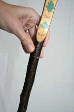 VINTAGE LEAF ID BRANCH CANE AMERICAN FOLK ART WOOD WALKING STICK NATURE CAMPING