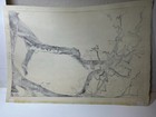 Toshi Yoshida Woodblock - Plum Tree and Blue Magpie — photo 7