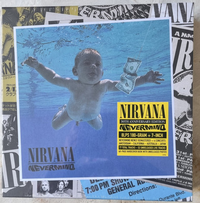 Nirvana   Nevermind Super Deluxe   8 Vinyl LP Box Set Schallplatten Sammlung