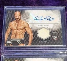 2015 Topps WWE Autographs Gallery - Is This the Deepest Lineup in Years? 29