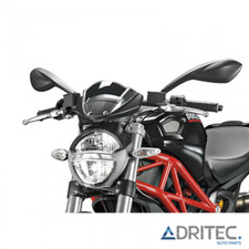 ✅ Cupolino DUCATI MONSTER 696 (2008-2014)