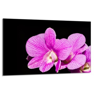 Glasschutzplatte für den Herd 80x52 Orchidea