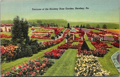 Vintage Postcard Terraces of the Hershey Rose Garden Hershey PA Postmarked B47