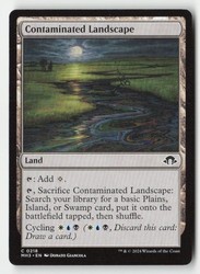Contaminated Landscape 218 Common Modern Horizons 3