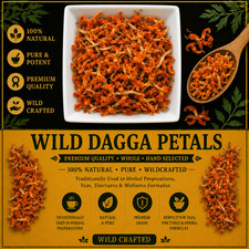 Premium Wild Dagga Petals (Lion s Tail)   Leo...