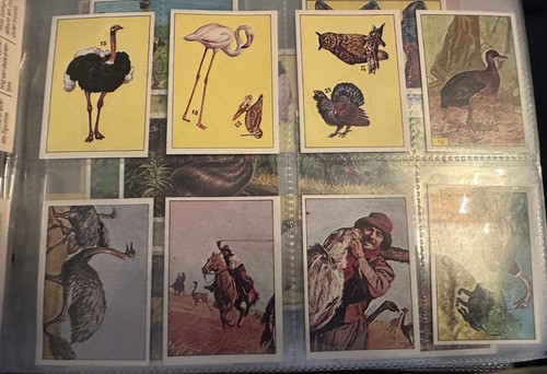 PANINI BIRDS : RARE COLLECTION OF LOOSE STICKERS 1-300 COMPLETE ALL IN VGC 1979 - Picture 3 of 10