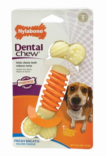 Nylabone Pro Action Dental Chew Durable Dog Toy Bacon 