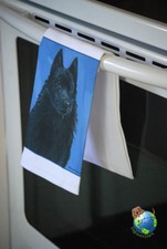 Schipperke Kitchen Hand Towel