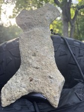 FOSSIL Stone ARTIFACT Texas CORAL ,C story #TEQUILASUNTRADING