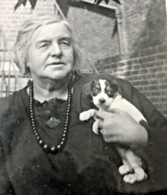 HUNDELEBEN - EIN VERWÖHNTER JACK RUSSELL SEHR GELIEBT MIT 1920ER JAHRE FAMILIENAUFNÄHER ?