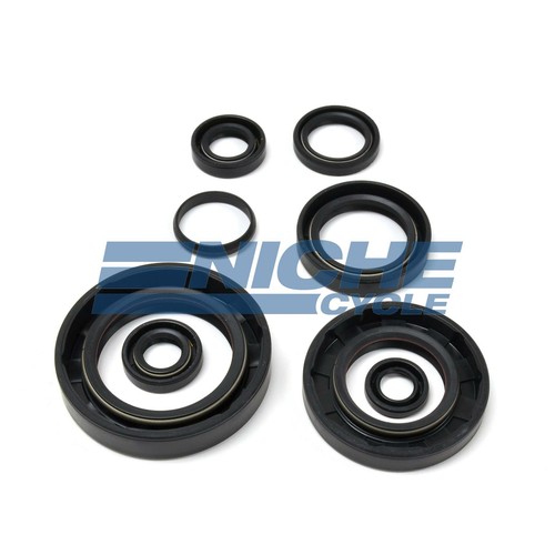 Honda TRX250R Fourtrax 2x4 ATC250R Engine Oil Seal Kit eBay