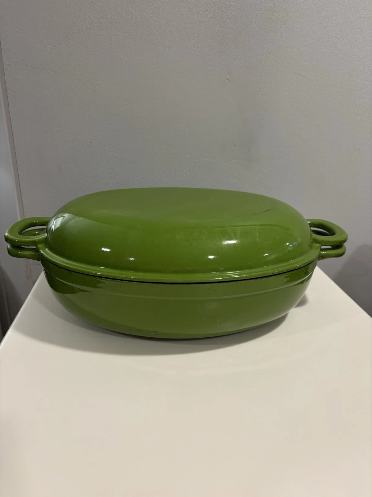 Vintage Sur La Table Large Cast Iron Pot With Lid Green Oval Dutch Oven