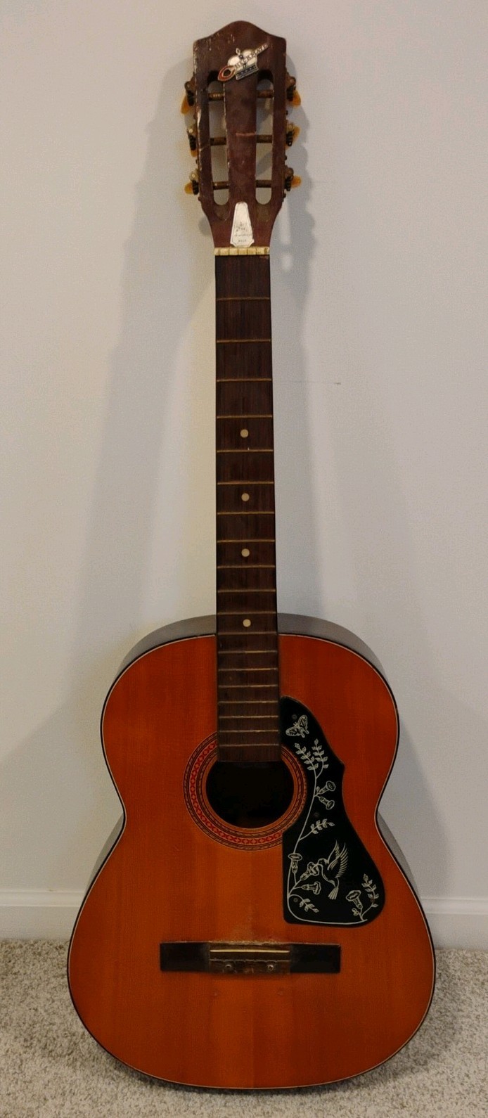 Vintage Checkmate G135 Acoustic Guitar