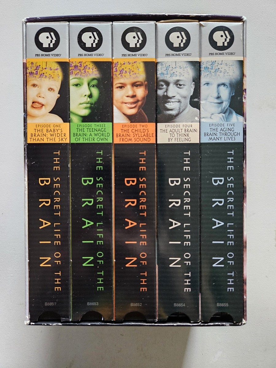 The Secret Life of the Brain (VHS, 2001) Box Set of 5 PBS Home