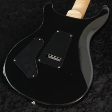 Paul Reed Smith (PRS) 2014 Custom 24 Floyd 10Top Color Pattern Thin Neck