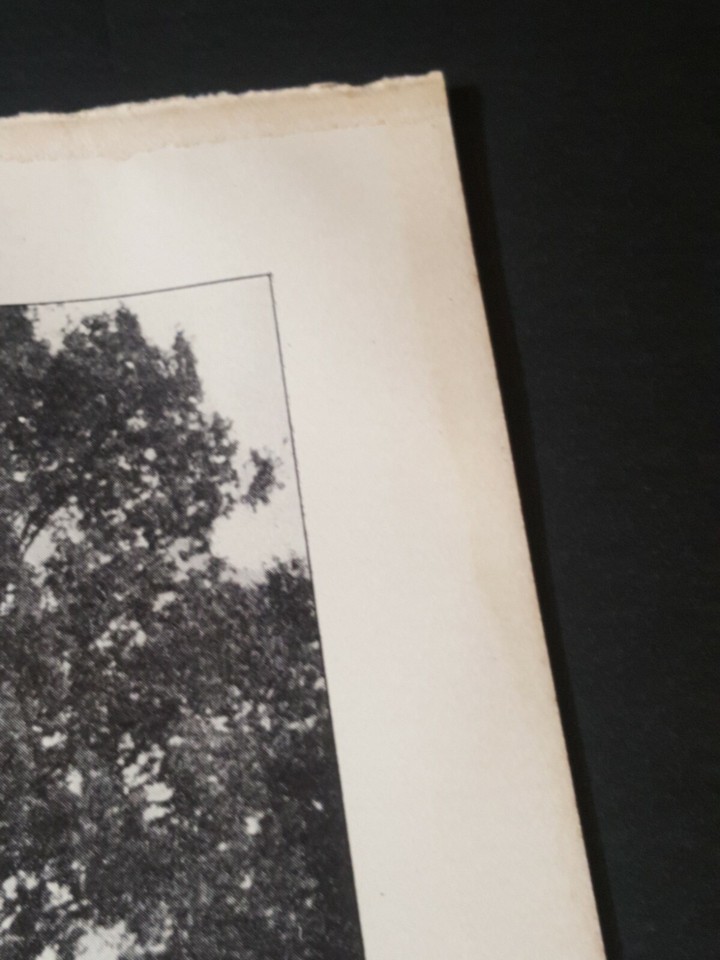 1913 photo plate Alder Creek to Mckeever Road new road Oneida county