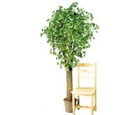 Ginkgo Kunstbaum 200Cm Mit 12Cm Dickem Stamm Und 1456 BläTter Von Ibizanos