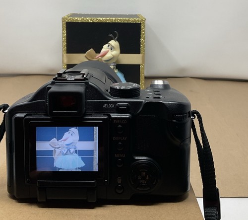 Panasonic LUMIX DMC-FZ30 8.0MP 12X Zoom Digital Camera - Tested C61