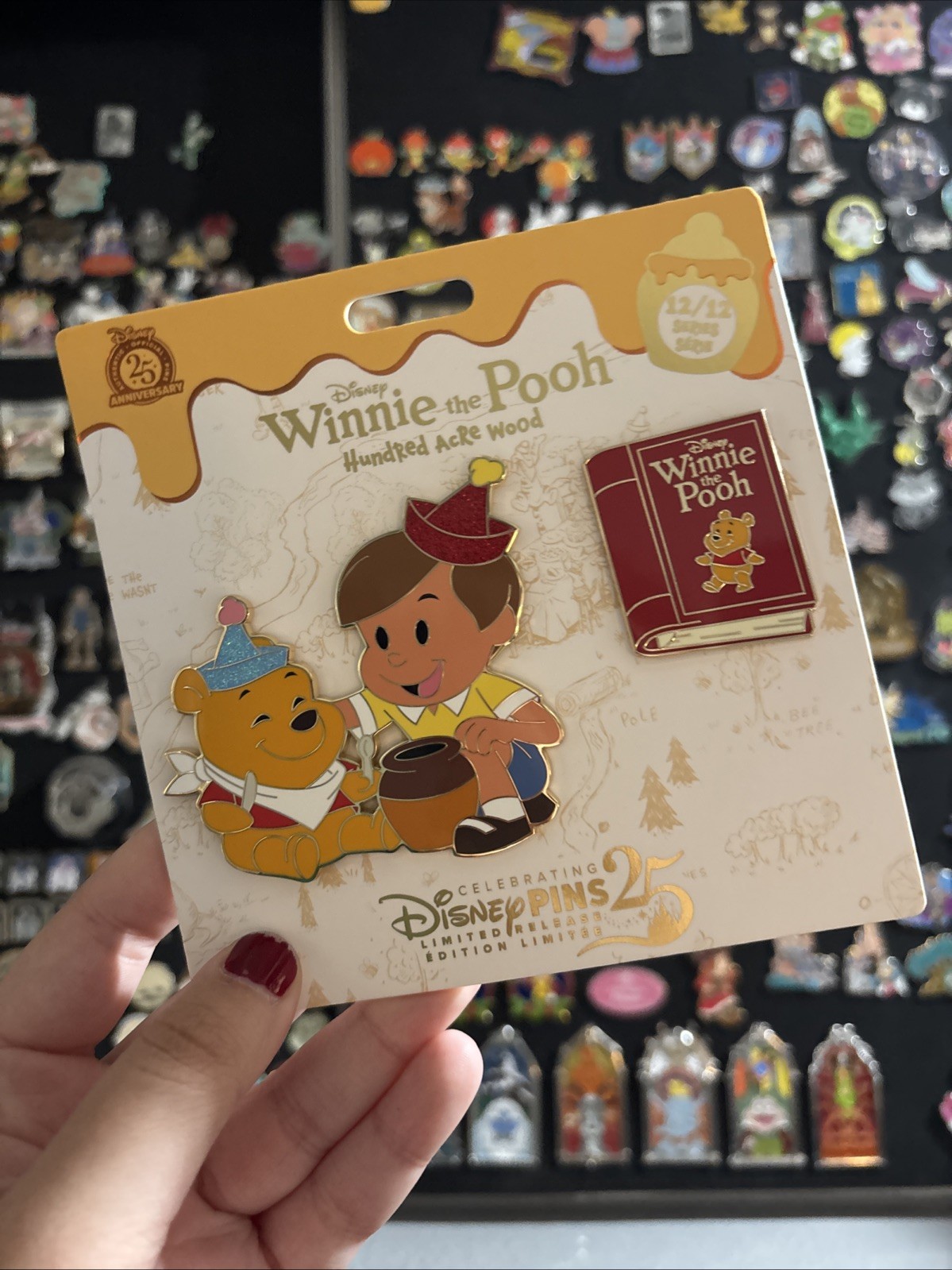 Disney Winnie The Pooh Hunter Acre Woods 12 Out Of 12 2025 Limited Edition Pin ￼