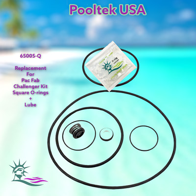 65005V-Q  Fits Pentair Challenger, Square Housing Gasket, Saltwater Rebuild Kit 