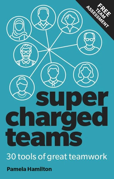Supercharged Teams Pamela Hamilton Taschenbuch Kartoniert / Broschiert Englisch-image