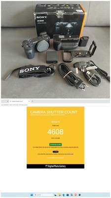 Sony Alpha a6600 Body Shooter Count 4608