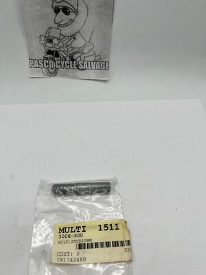 NOS-GENUINE Arctic Cat Tiger Shark 10mm Bolt Stud 3008-300 (see listing for fit)
