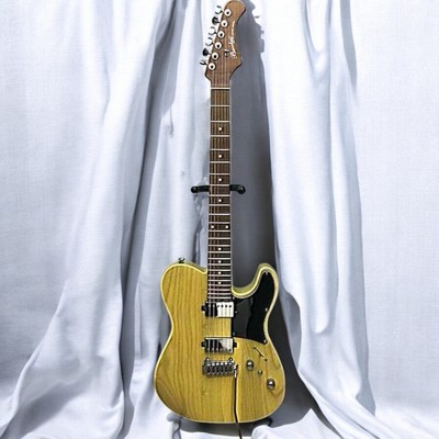 Bacchus Tactics24 Ash Telecaster Type, 24 Fret, Stainless Steel