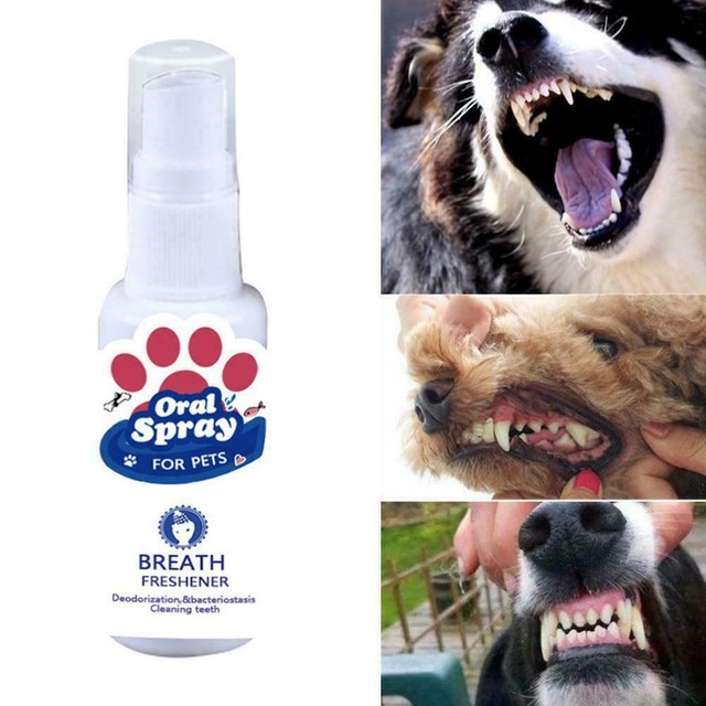 30ml Pet Breath Freshener Mouth Spray Dental Care Z9P4 eBay