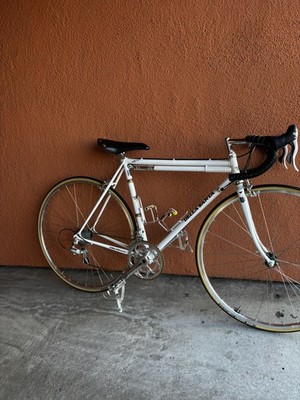 Della Santa Bike-New Paint & Components, Painted & Signed by Roland Della Santa