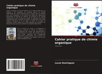 Lucas Domingues | Cahier Pratique De Chimie Organique | Taschenbuch (2025)