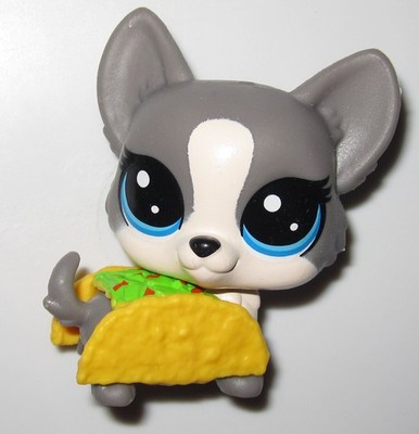 Taco Dog Corgi Littlest Pet Shop Minifigure