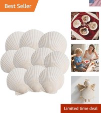 Artistic 10PCS Scallop Shells 4-5 Inch - Perfect for Crafts Decorations