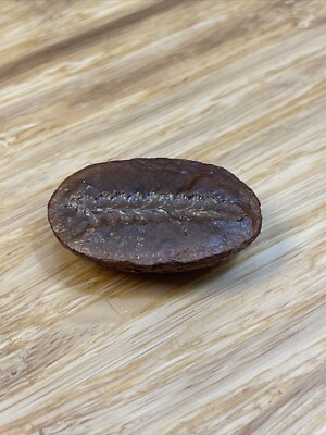 Vintage Plant Fossil Rock Leaf Imprint KG JD